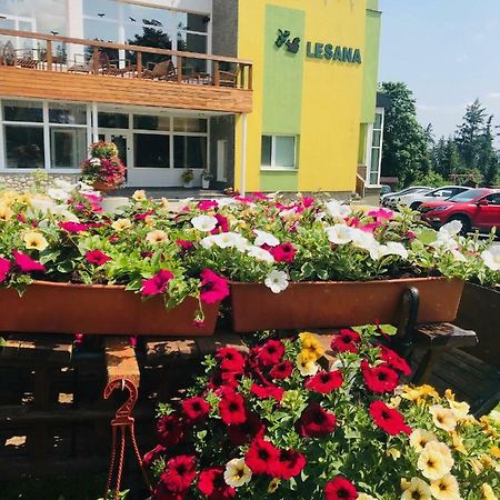 Hotel Lesana Stará Lesná Exterior foto